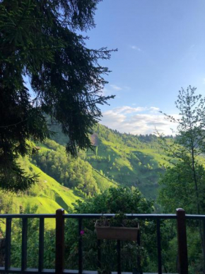 Çamdibi Dağevi